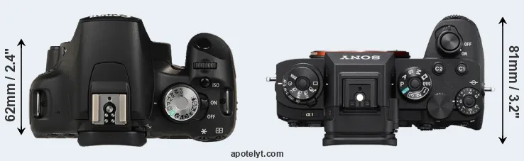 Compare 500D versus A1 top