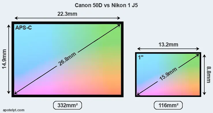 Canon 50D and Nikon 1 J5 sensor measures