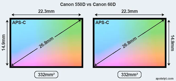 Canon 550D and Canon 60D sensor measures