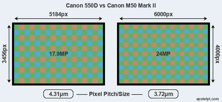 550D versus M50 Mark II MP