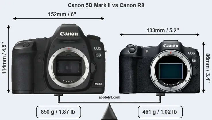 Size Canon 5D Mark II vs Canon R8