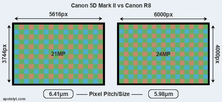 5D Mark II versus R8 MP