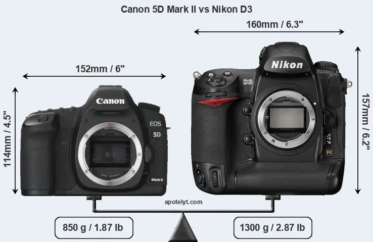 Size Canon 5D Mark II vs Nikon D3