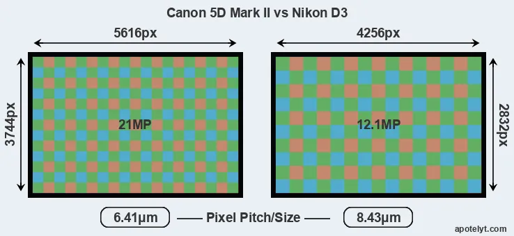 5D Mark II versus D3 MP