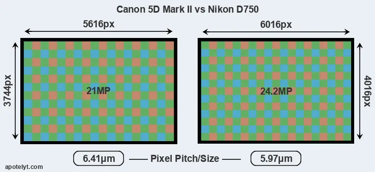 5D Mark II versus D750 MP