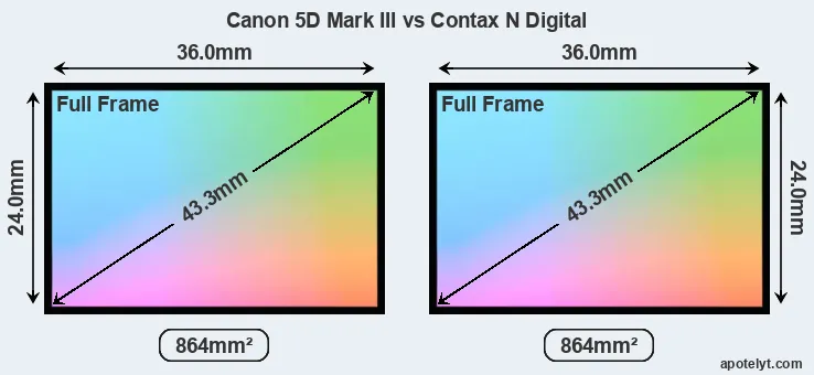 Canon 5D Mark III and Contax N Digital sensor measures