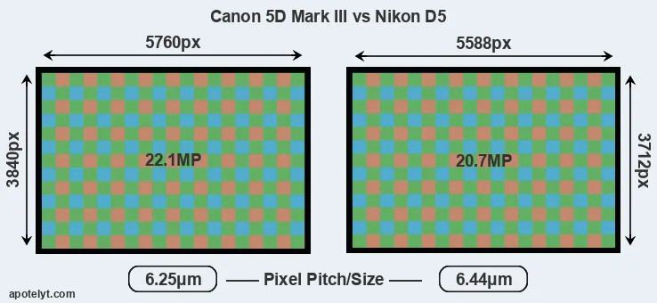 5D Mark III versus D5 MP