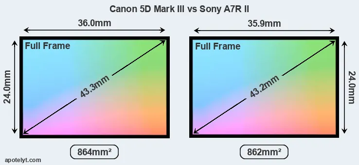 Canon 5D Mark III and Sony A7R II sensor measures