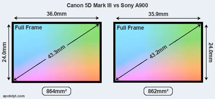 Canon 5D Mark III and Sony A900 sensor measures