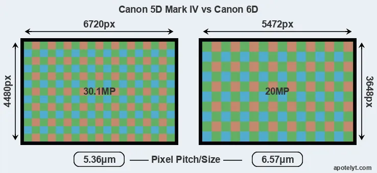 5D Mark IV versus 6D MP