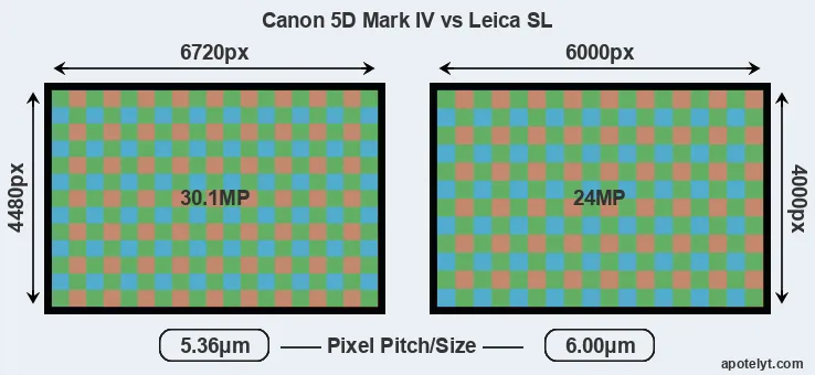 5D Mark IV versus Leica SL MP