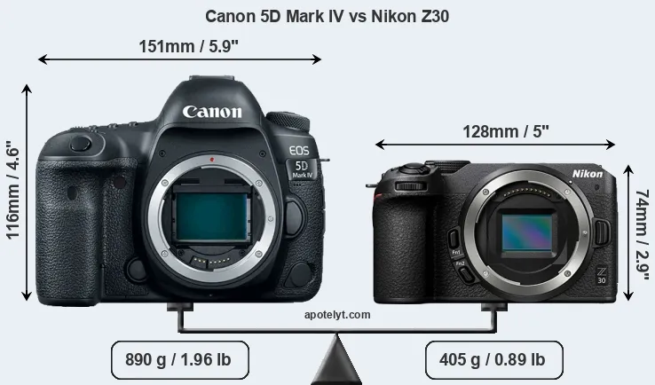 Size Canon 5D Mark IV vs Nikon Z30