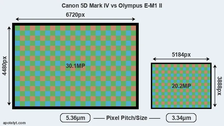 5D Mark IV versus E-M1 II MP