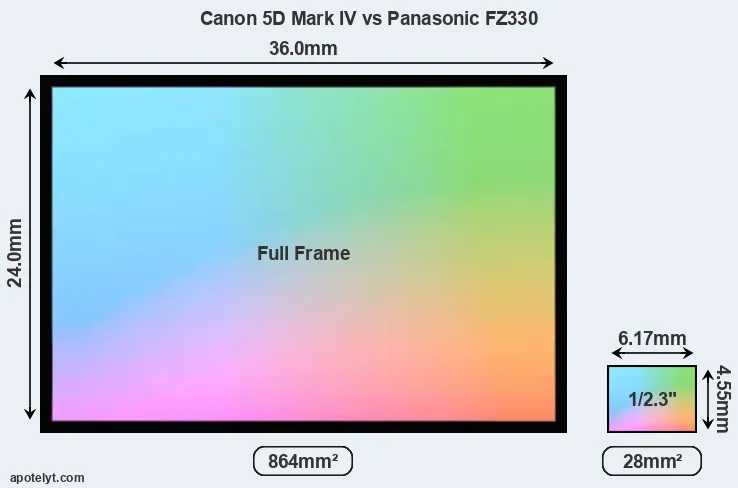 Canon 5D Mark IV and Panasonic FZ330 sensor measures