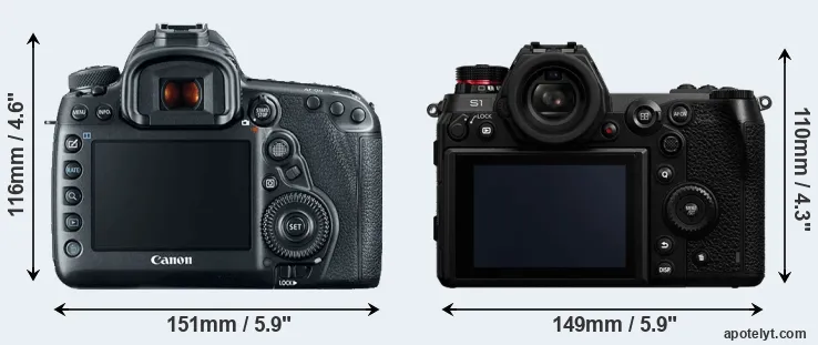 Comparison 5D Mark IV or S1 rear