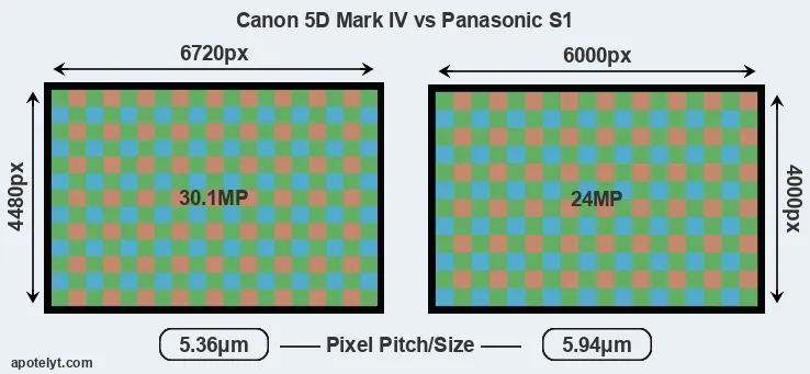 5D Mark IV versus S1 MP