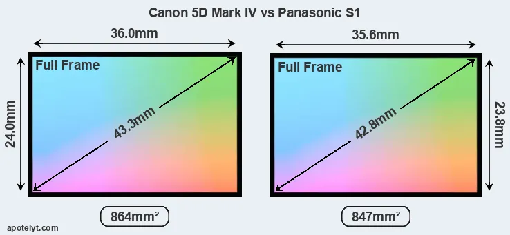 Canon 5D Mark IV and Panasonic S1 sensor measures