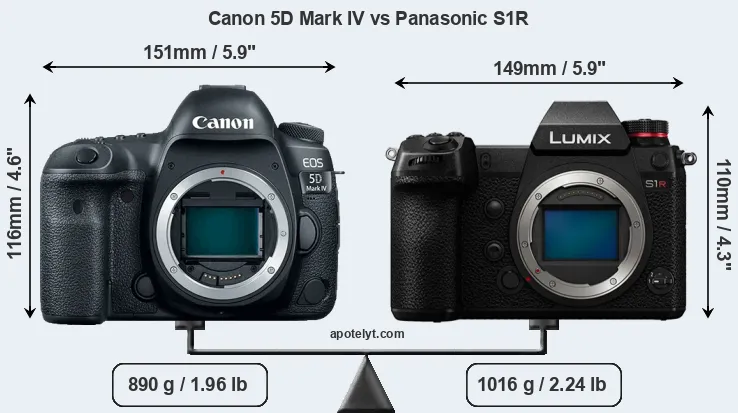 Size Canon 5D Mark IV vs Panasonic S1R