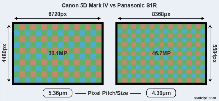 5D Mark IV versus S1R MP
