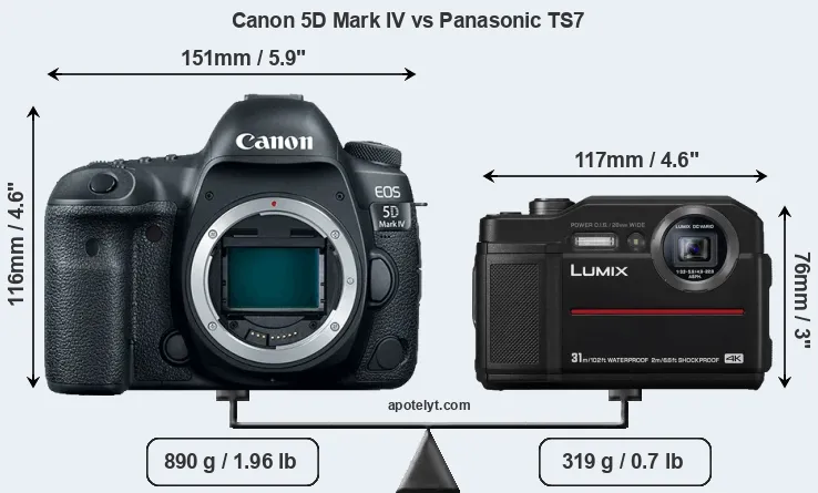 Size Canon 5D Mark IV vs Panasonic TS7