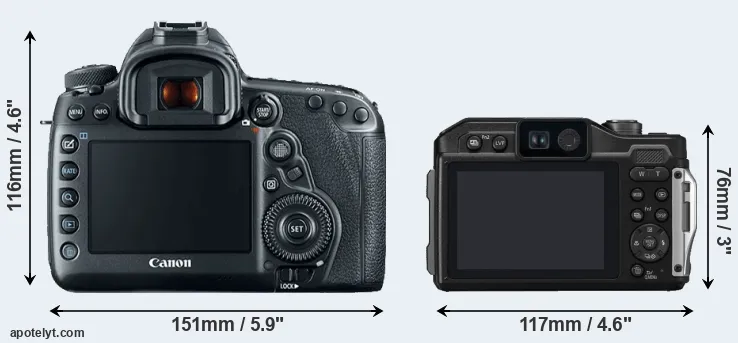 Comparison 5D Mark IV or TS7 rear