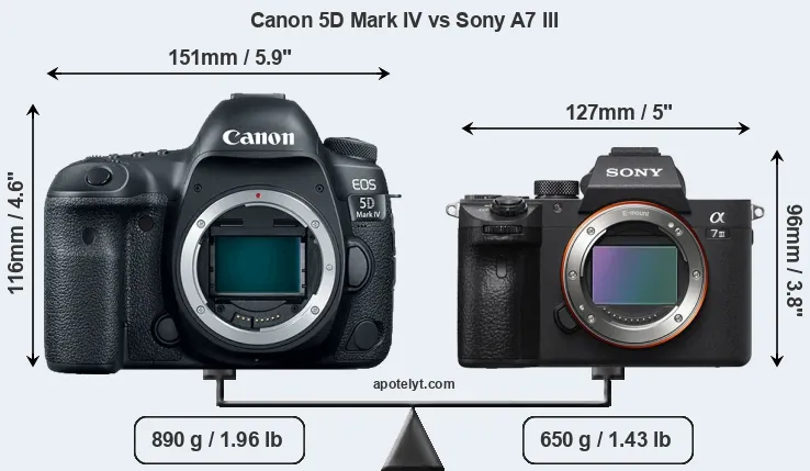 Size Canon 5D Mark IV vs Sony A7 III