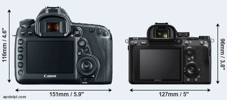 Comparison 5D Mark IV or A7 III rear