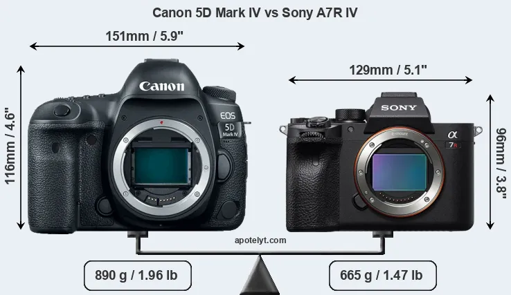 Size Canon 5D Mark IV vs Sony A7R IV