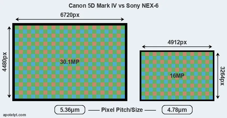 5D Mark IV versus NEX-6 MP