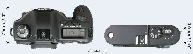 Compare 5D versus M8 top