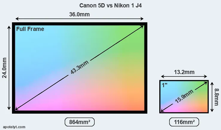 Canon 5D and Nikon 1 J4 sensor measures