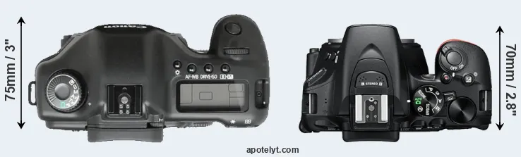 Compare 5D versus D5600 top