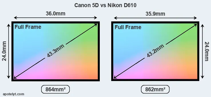 Canon 5D and Nikon D610 sensor measures