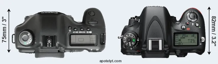 Compare 5D versus D610 top