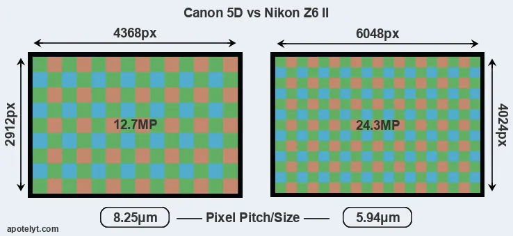 5D versus Z6 II MP