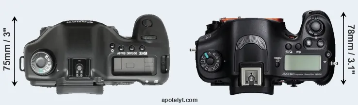 Compare 5D versus A99 top