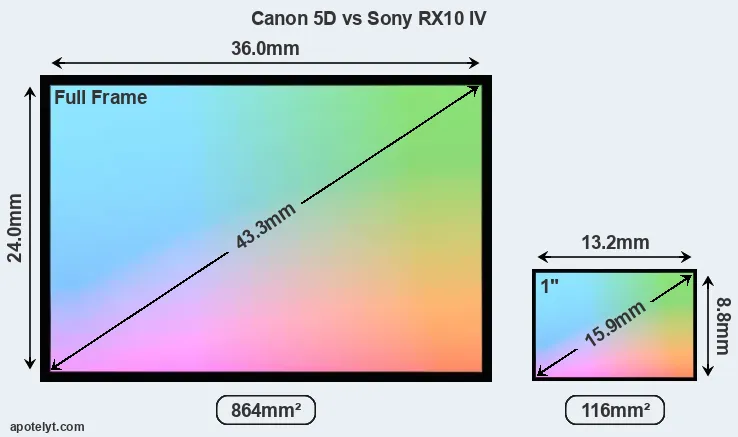 Canon 5D and Sony RX10 IV sensor measures