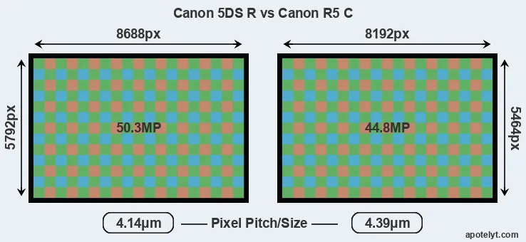 5DS R versus R5 C MP