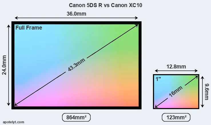 Canon 5DS R and Canon XC10 sensor measures