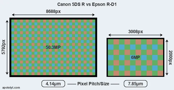 5DS R versus R-D1 MP