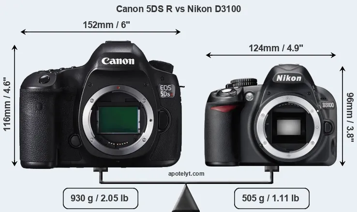 Size Canon 5DS R vs Nikon D3100