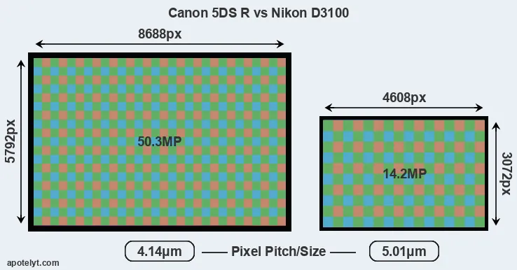 5DS R versus D3100 MP