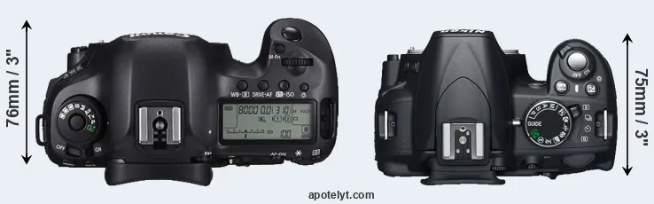Compare 5DS R versus D3100 top