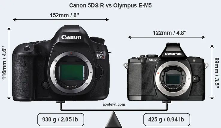 Size Canon 5DS R vs Olympus E-M5