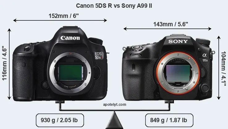 Size Canon 5DS R vs Sony A99 II