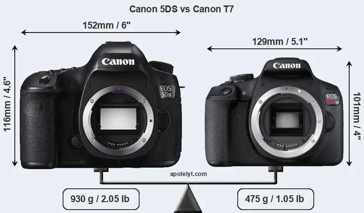 Size Canon 5DS vs Canon T7