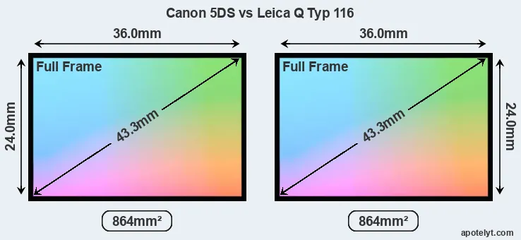 Canon 5DS and Leica Q Typ 116 sensor measures