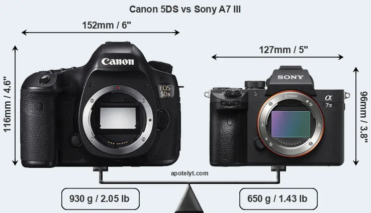 Size Canon 5DS vs Sony A7 III