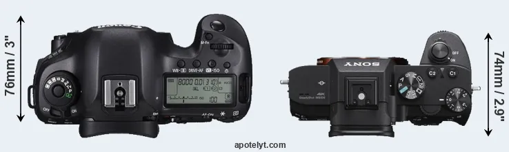Compare 5DS versus A7 III top