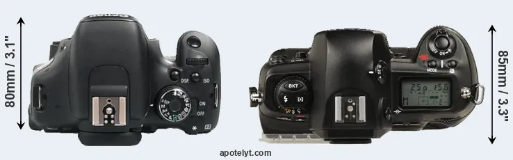 Compare 600D versus D1 top
